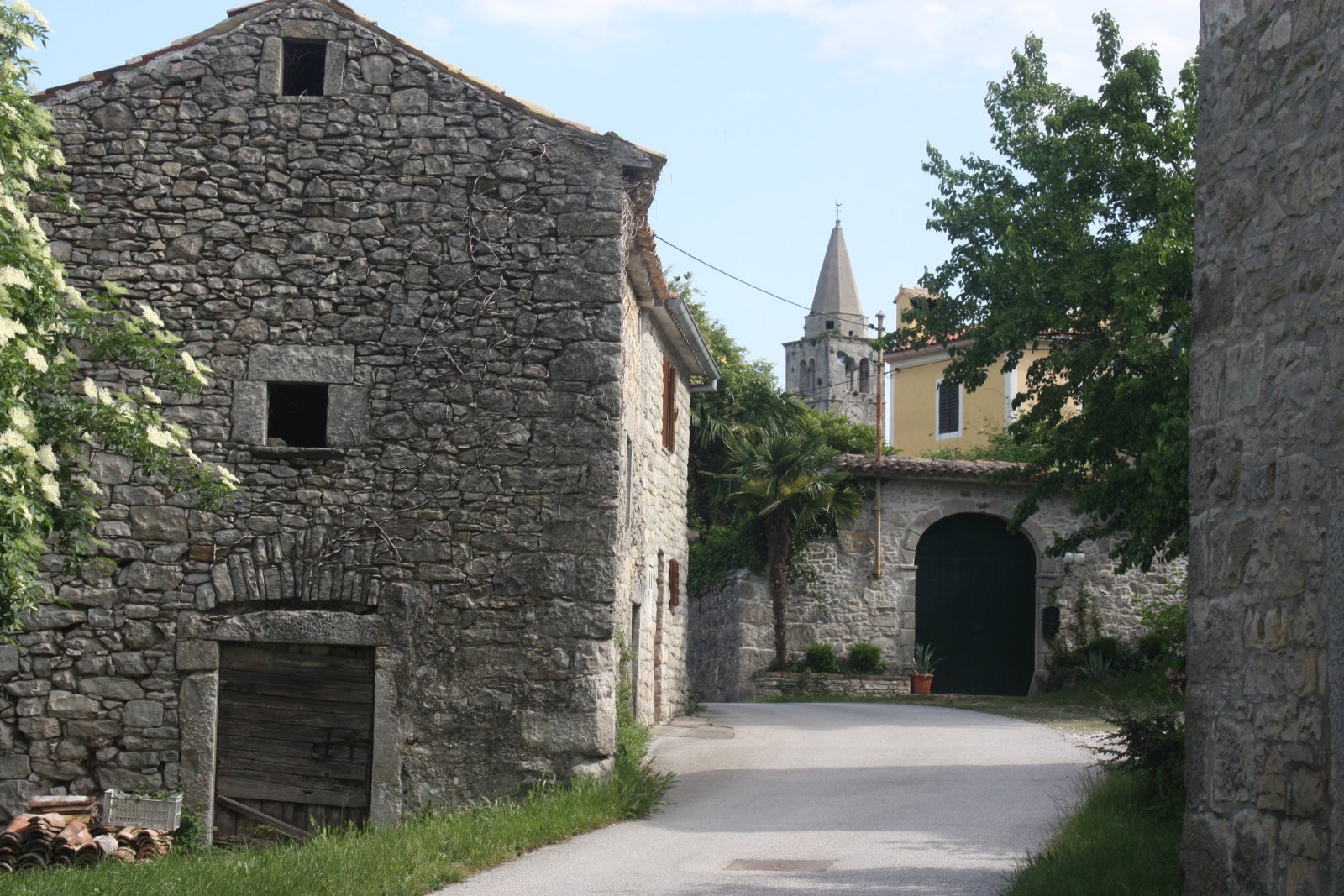 Boljun