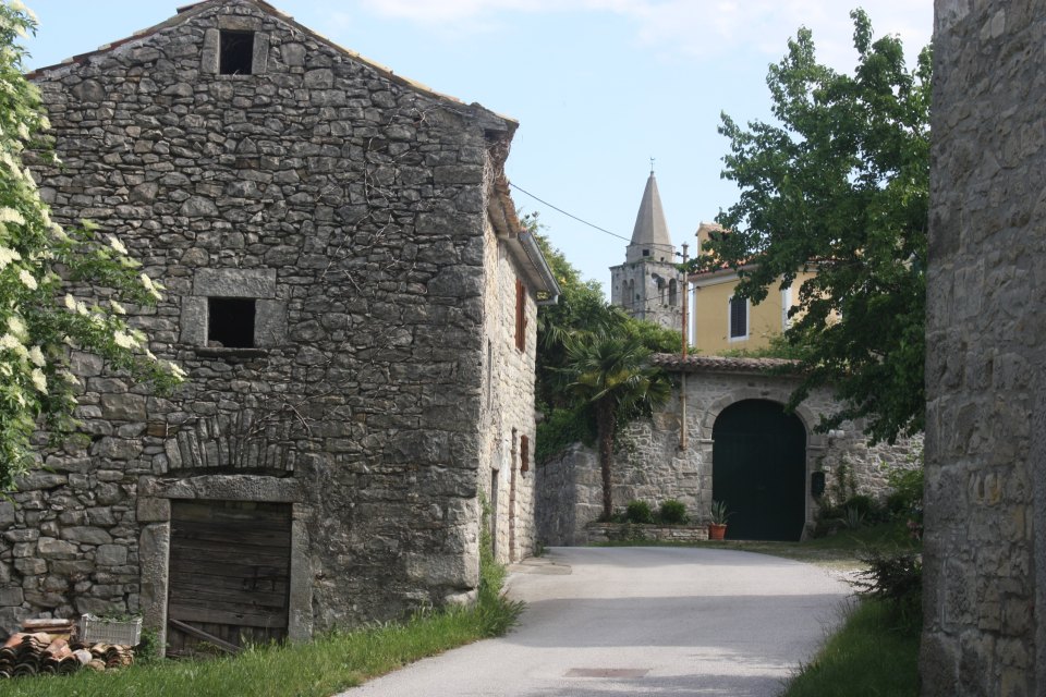 Boljun